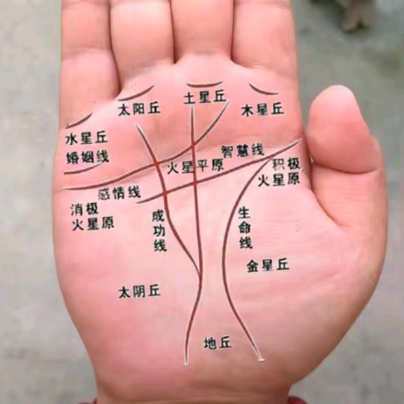 余师手相