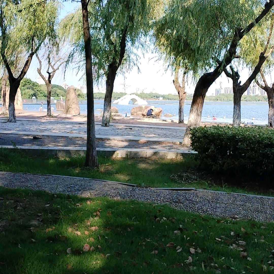 土土土土土土土土