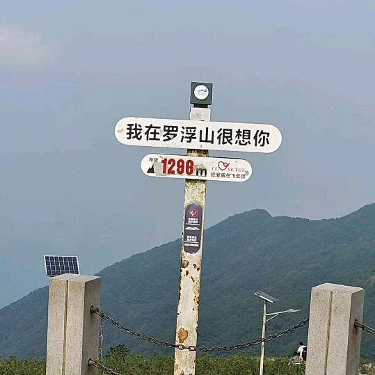 努力挣钱，