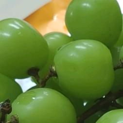 不爱安静的过路人