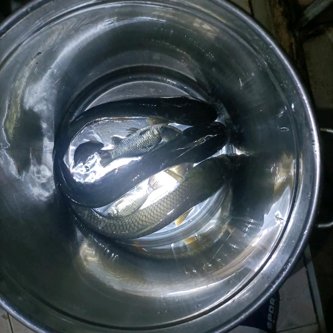 小兔子成长日记