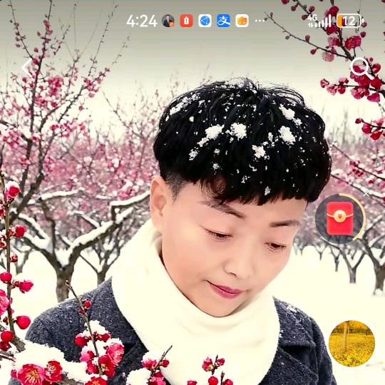 宋小雨点