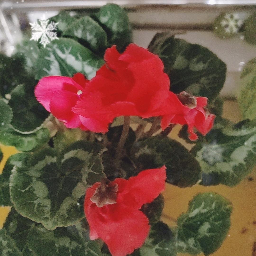 诗和远方有你有我