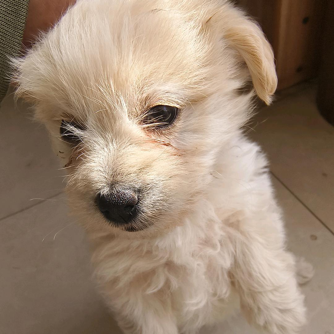 ▇▇▇刮开有奖