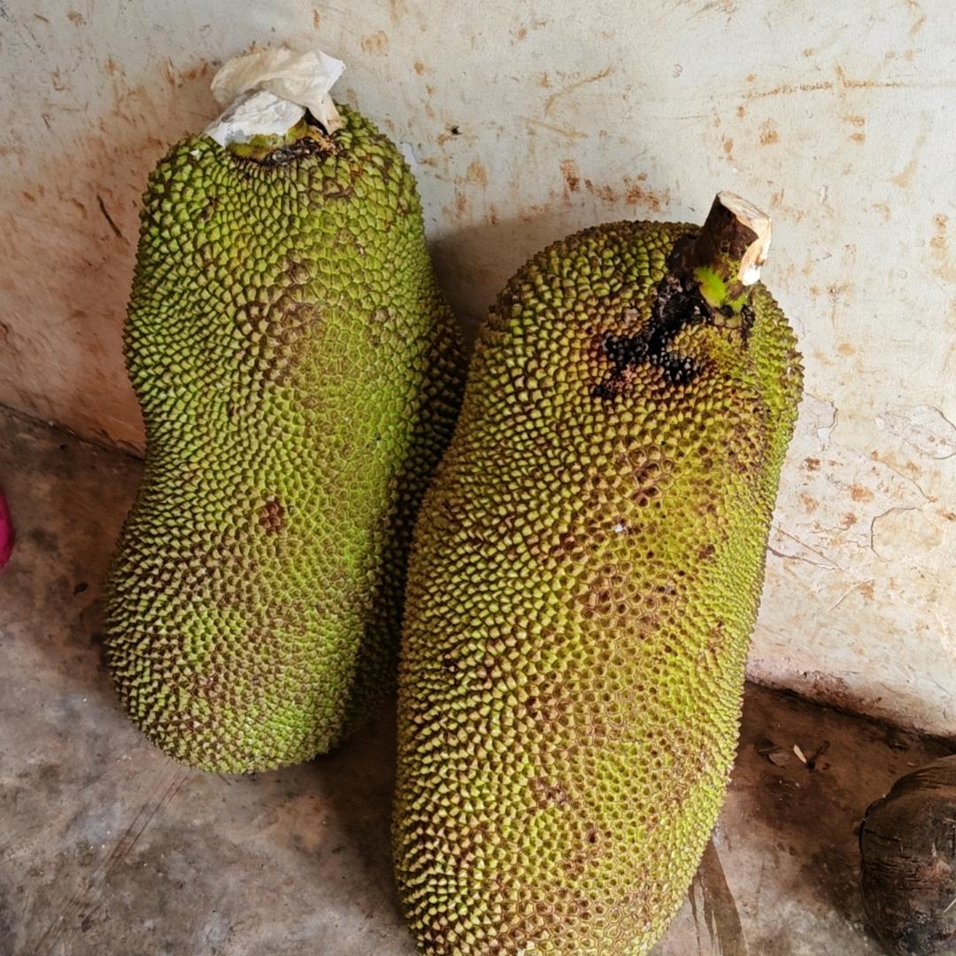 🐏🐏🐏🐏🐏🐏🐏🐏🐏🐏