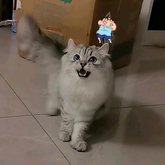 苏姐姐
