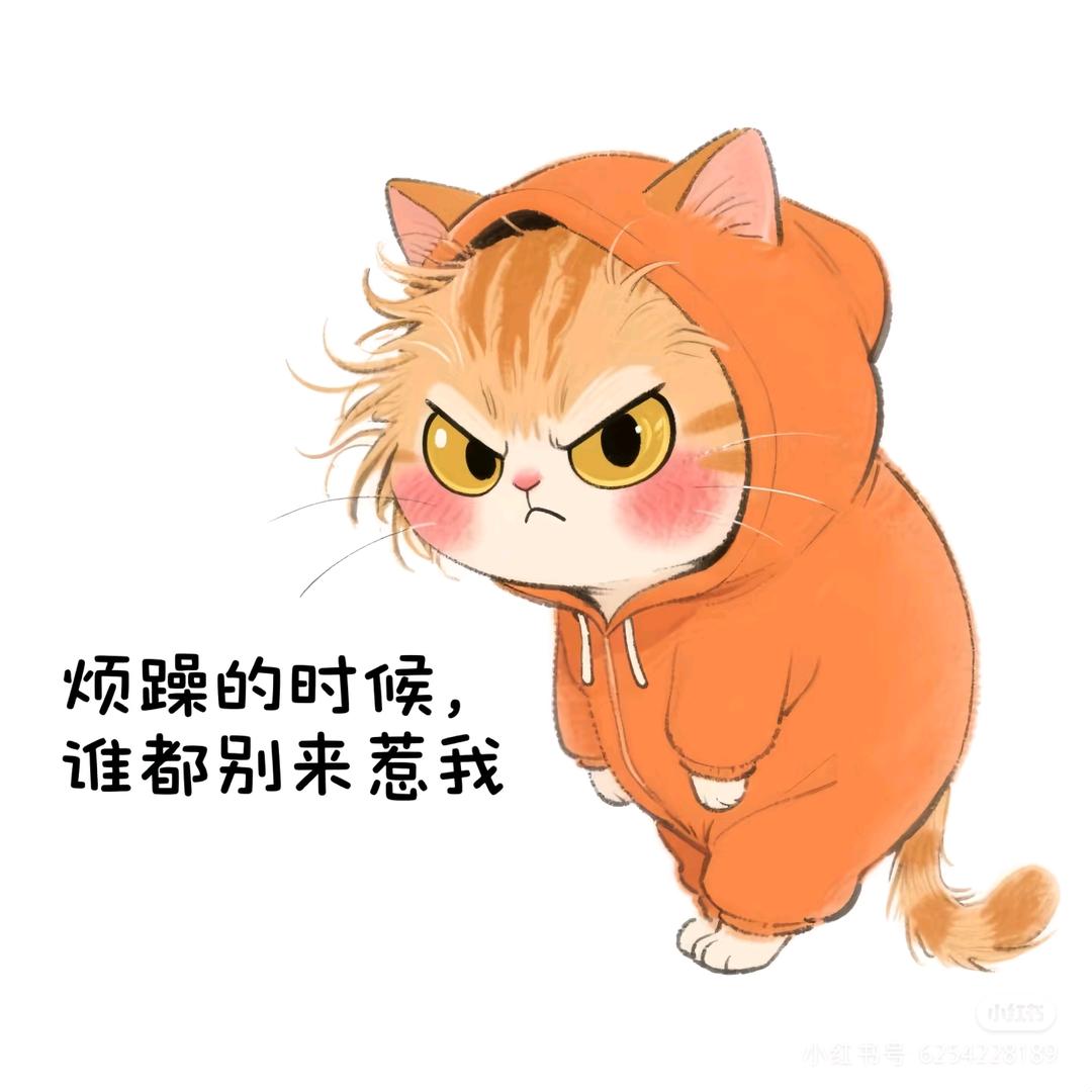 ʚїɞ从ꦿꦼ此ꦿꦼ不挽留💔