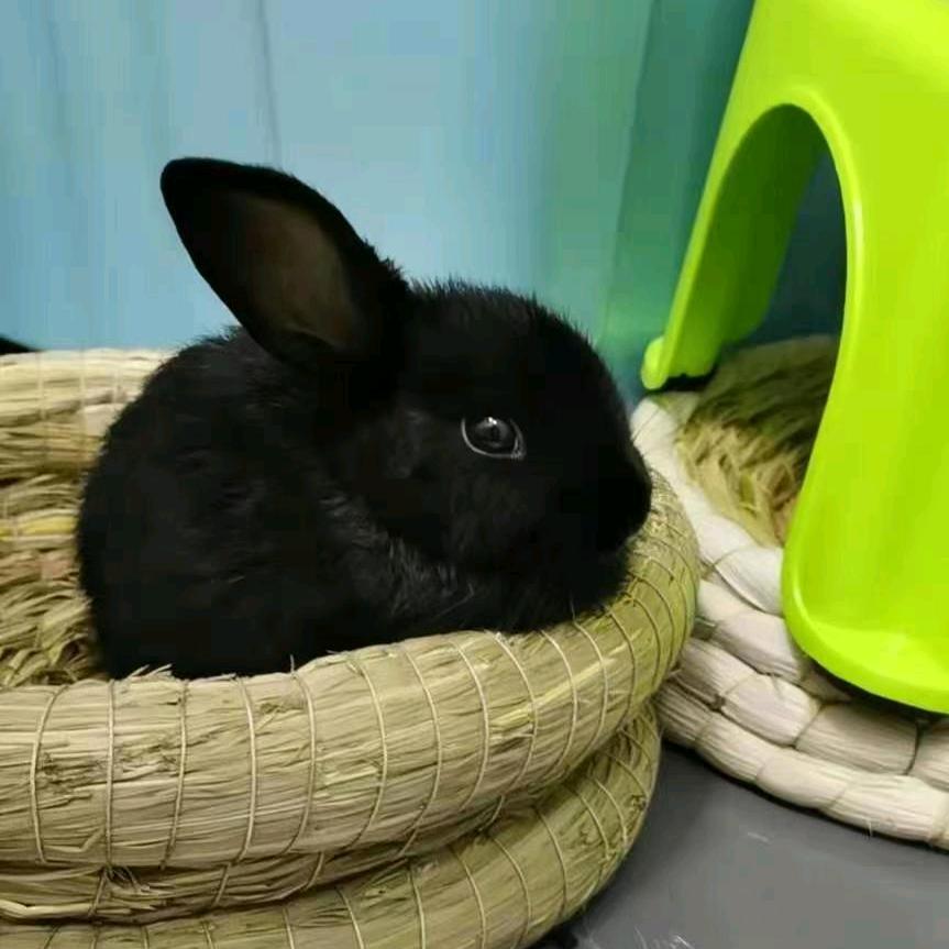 嵇招梅农产水产臻选阁