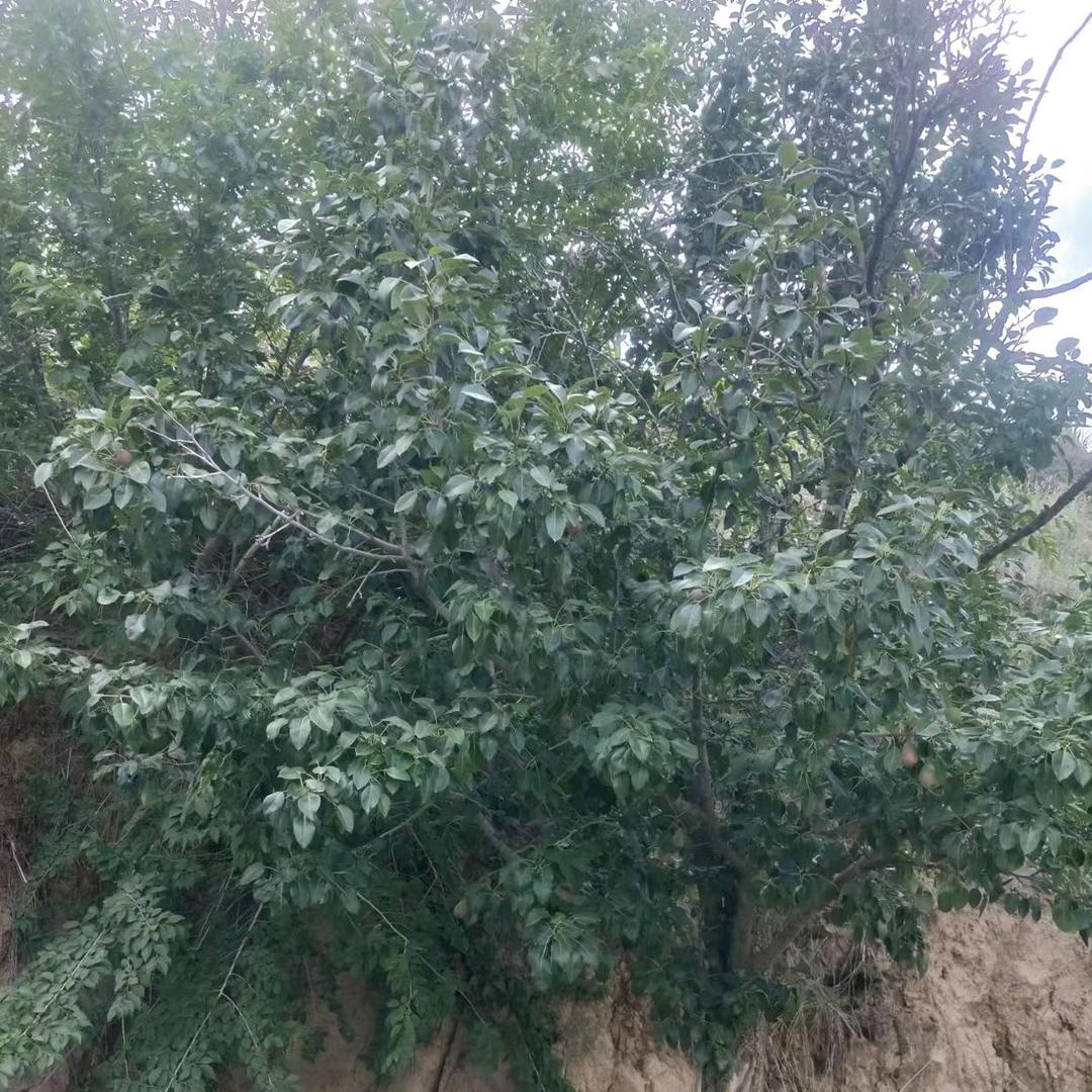 赐福与我们
