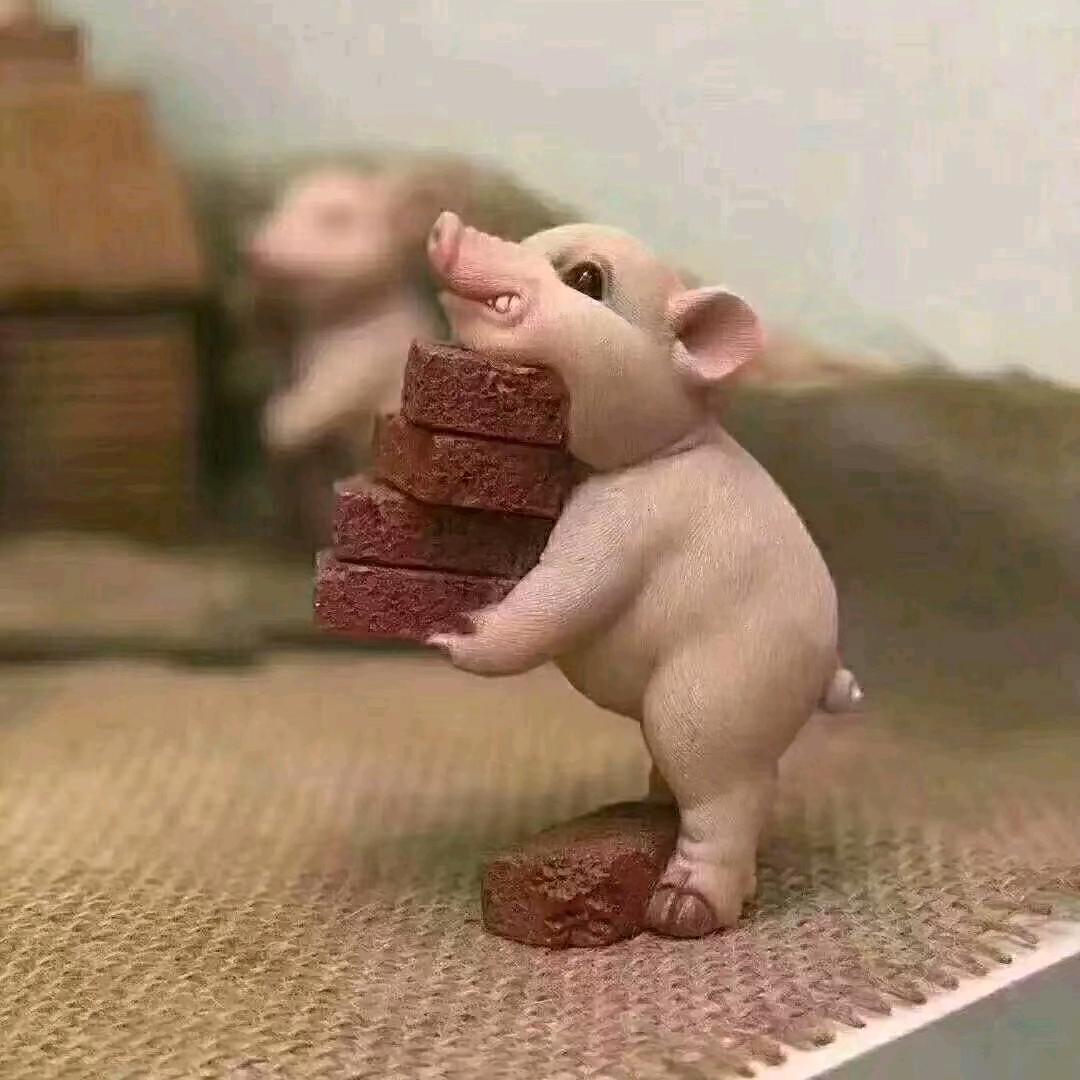搬运工