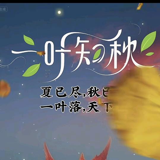 钱👻迷离