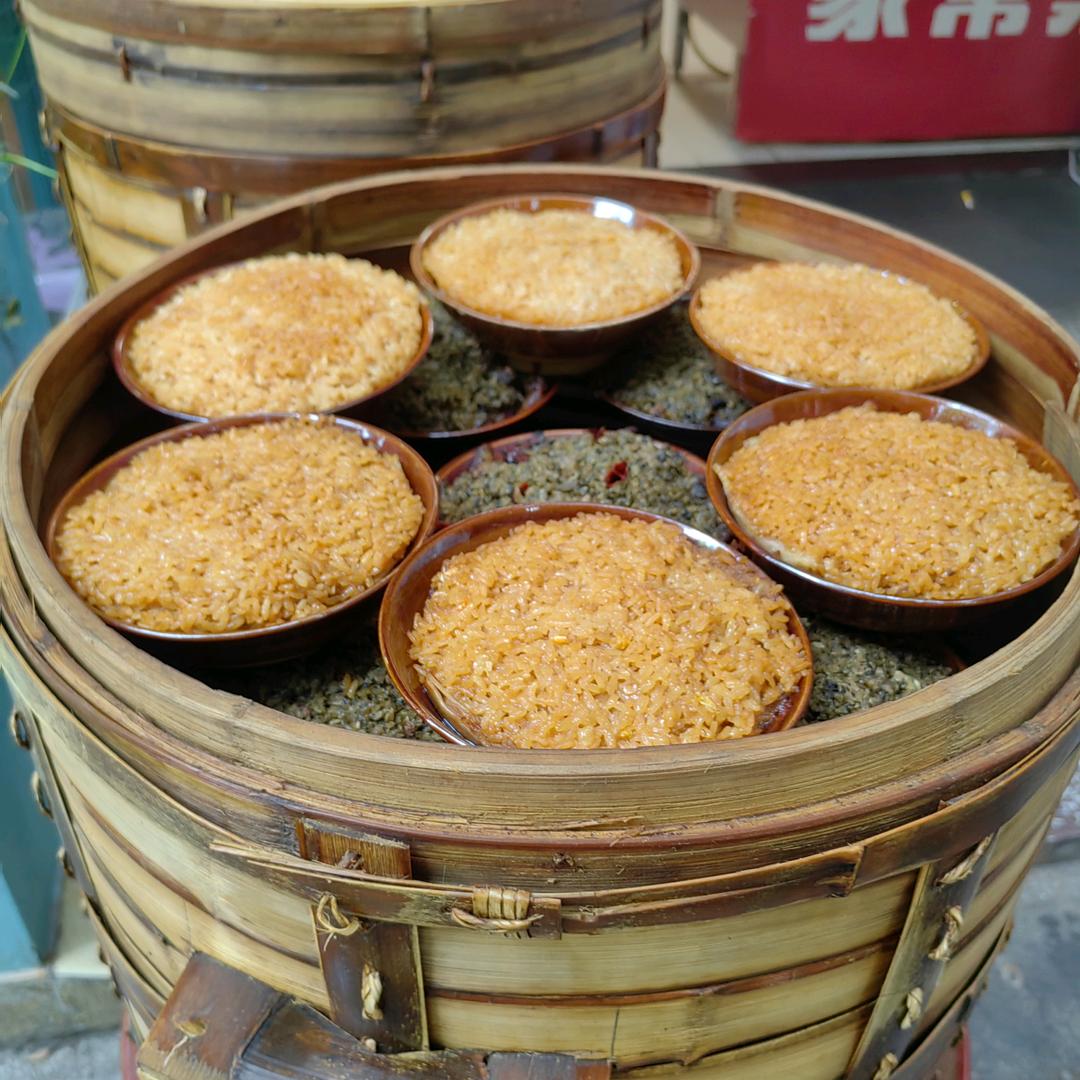 格格竹