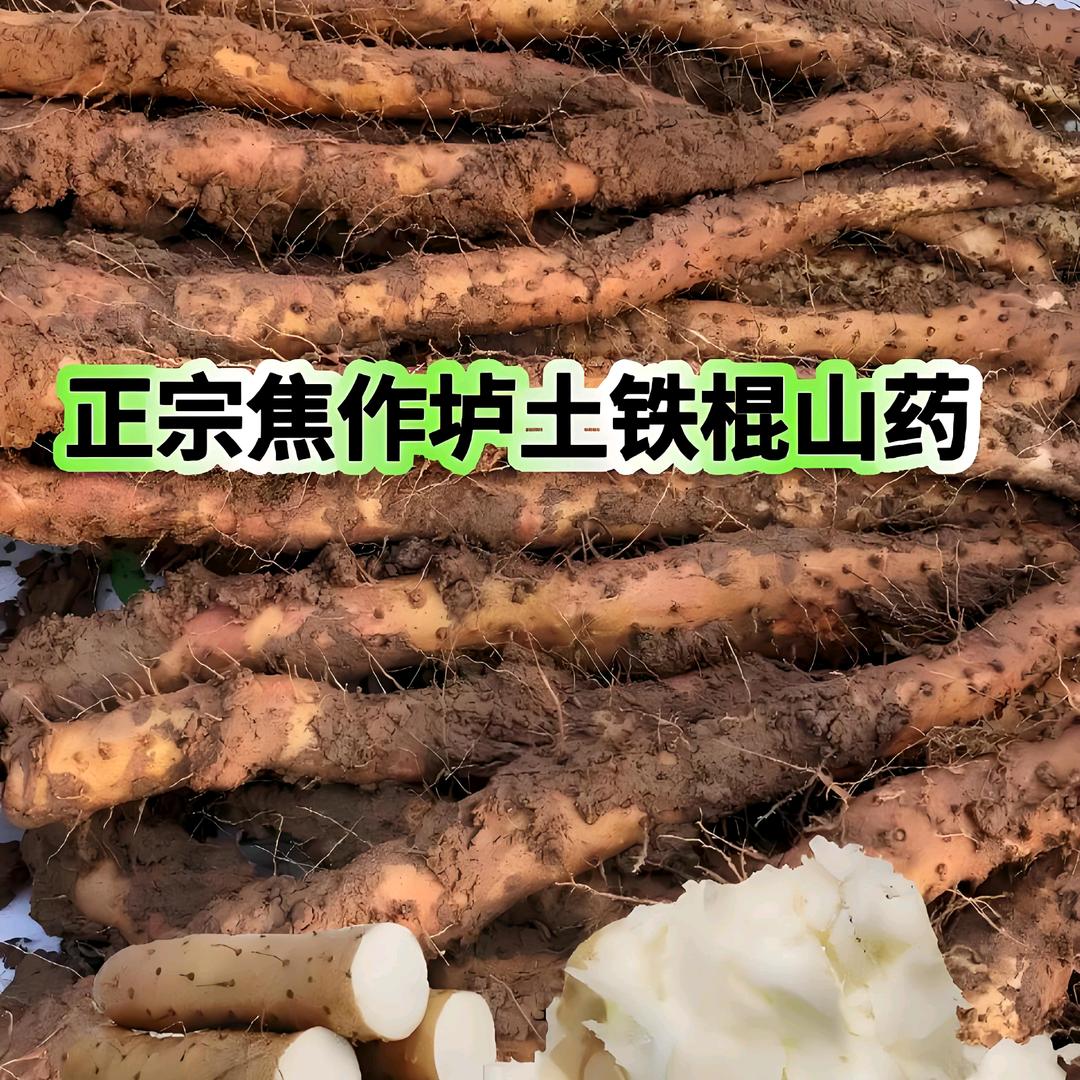 温县怀山土特产
