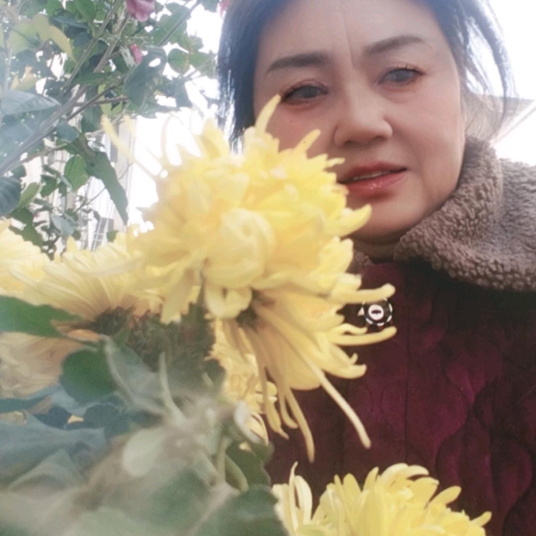 🌺🌺顺其自然🍉🍇