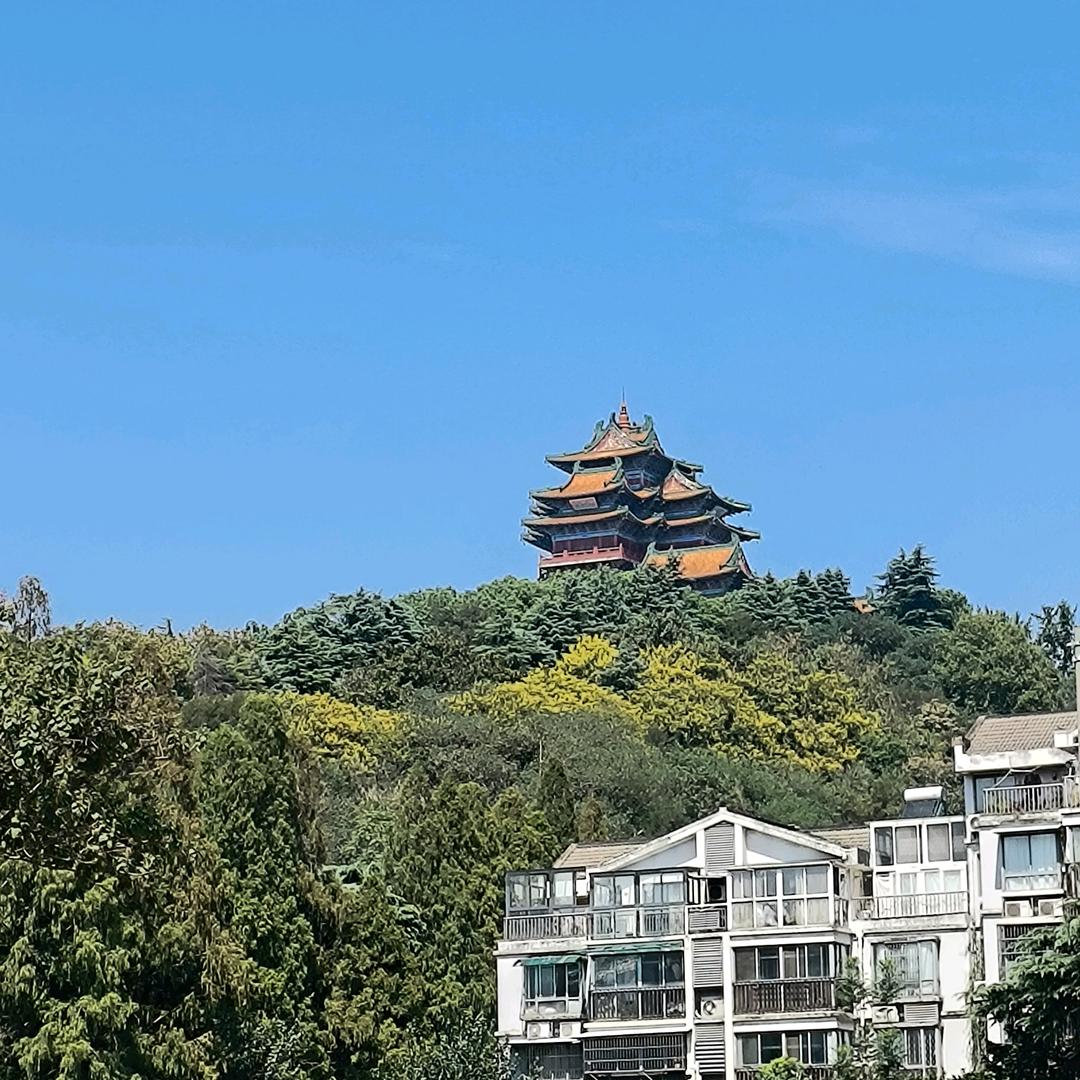 （感悟人生）