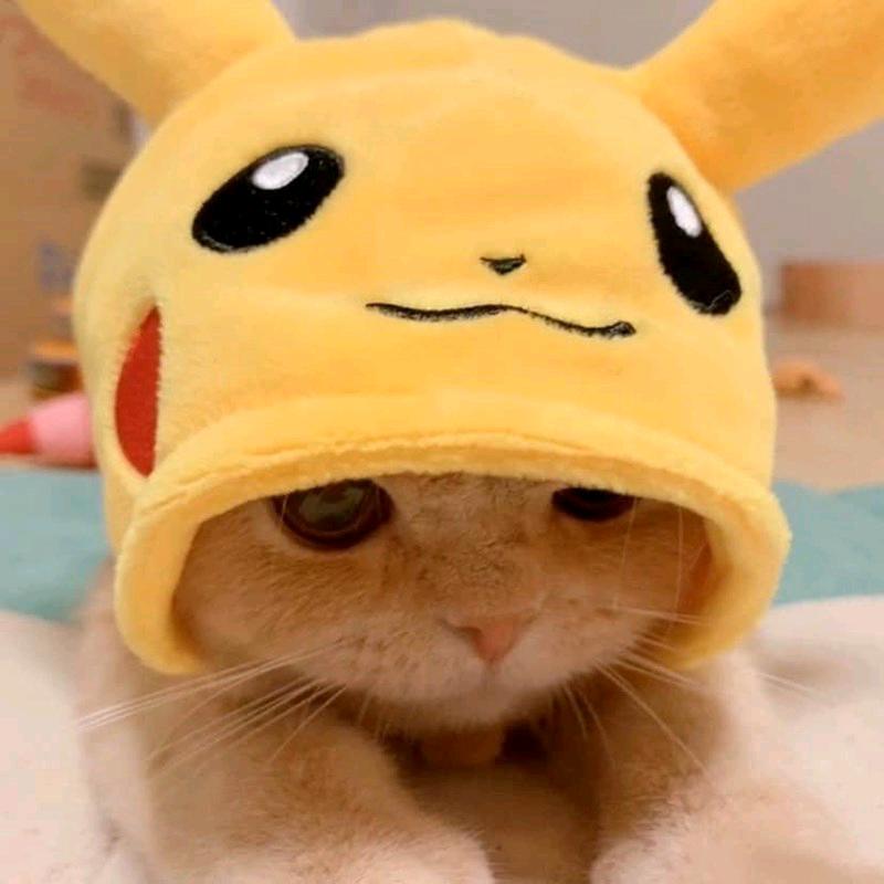ʚ安妮书单ɞ