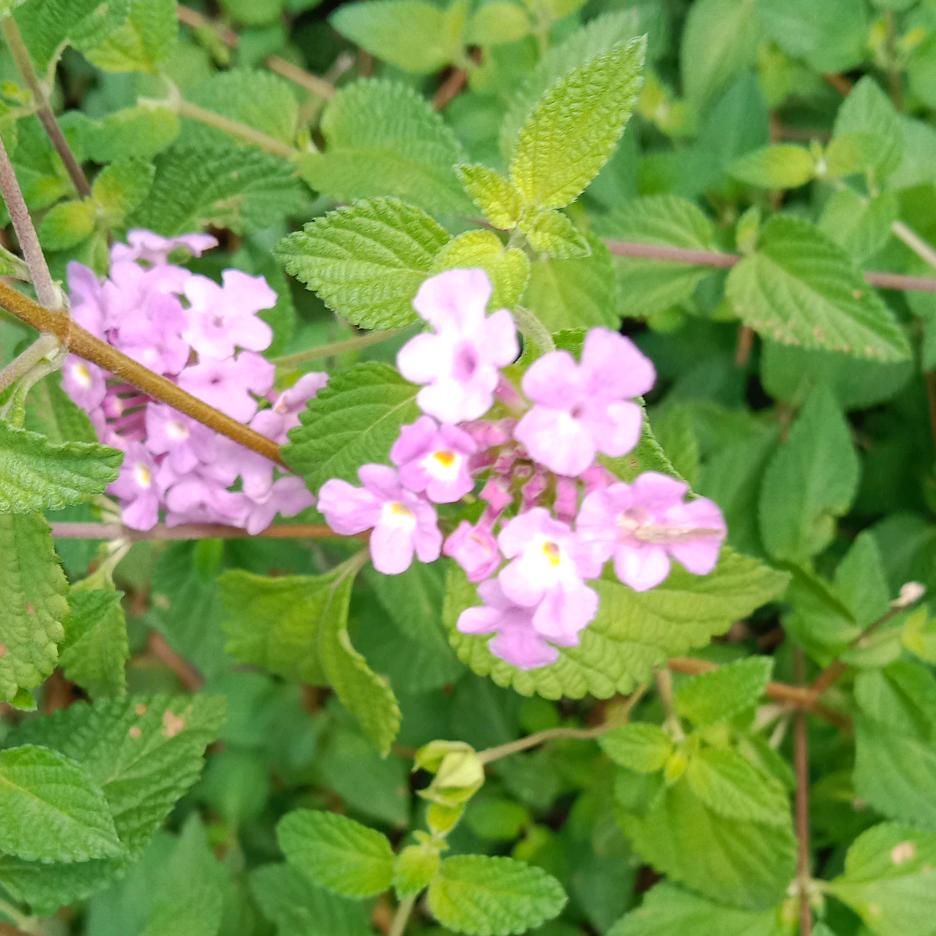 钰涵(优选好物)