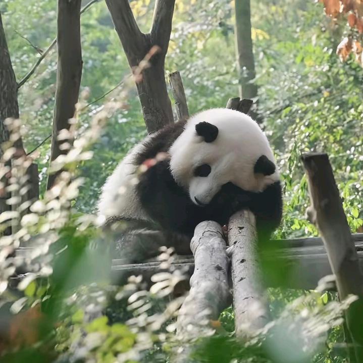 小小💕