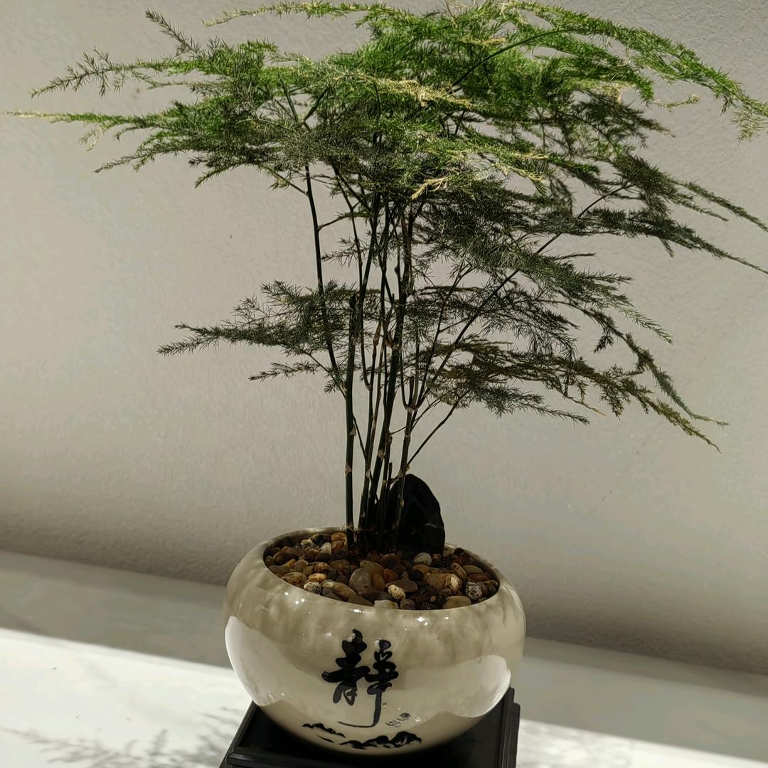 ৡ凡夫俗子࿐