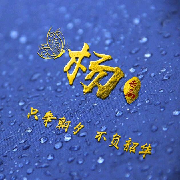 .杨