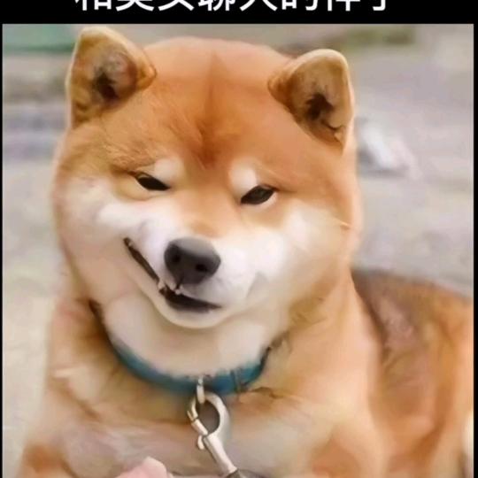 77777777