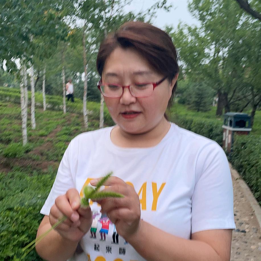 大珍儿