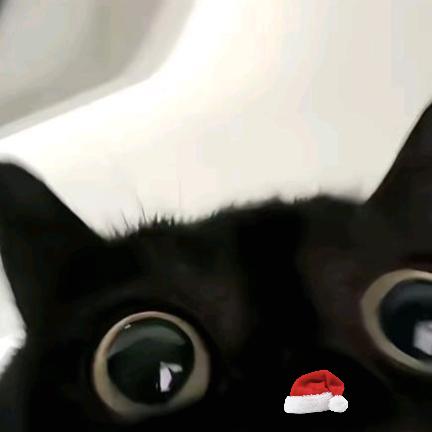 森ⁱ⁷