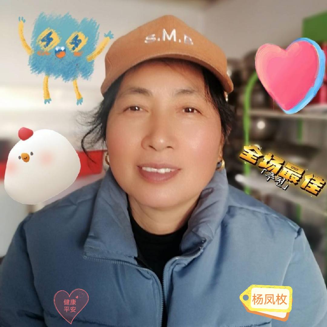杨凤枚