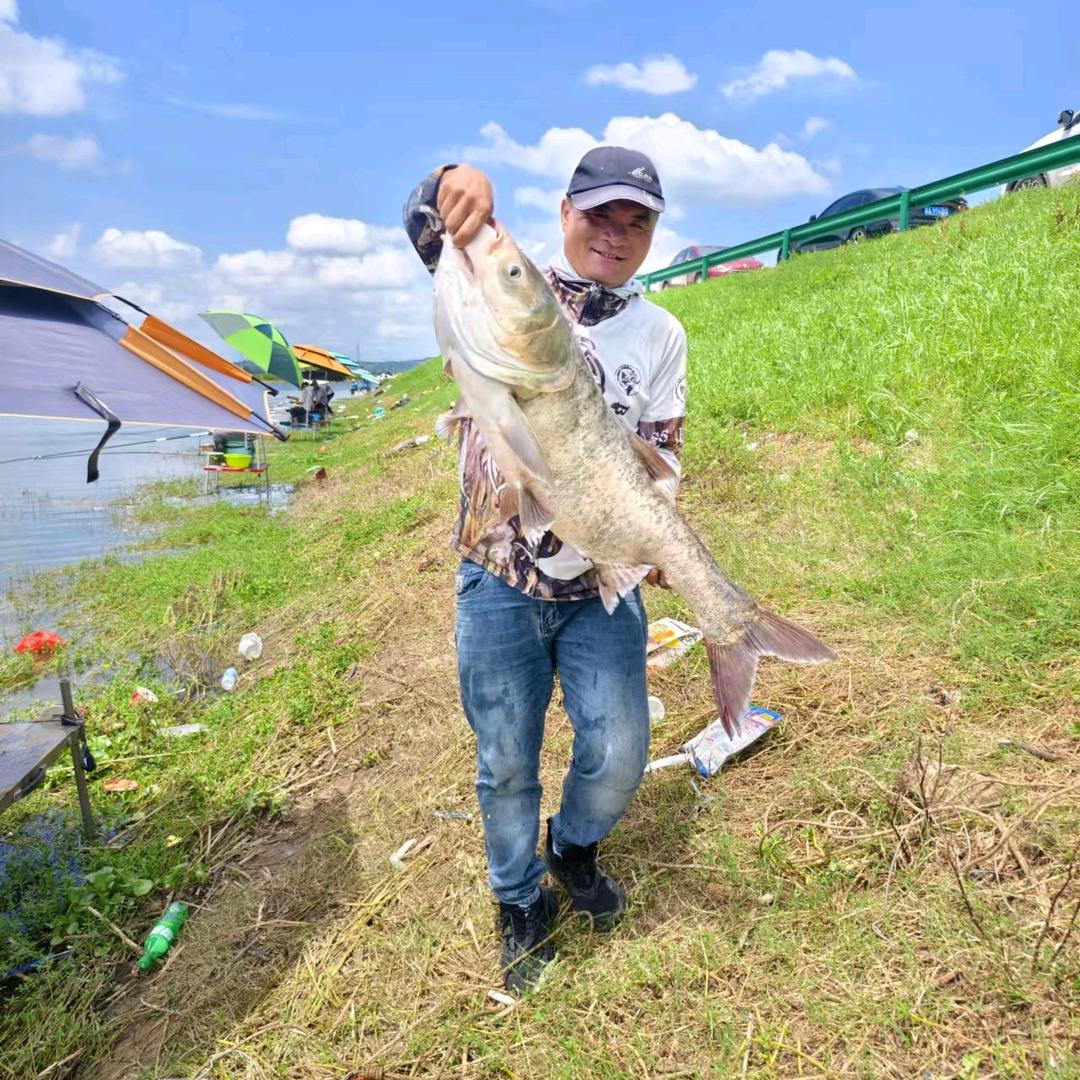 东哥（难释怀）