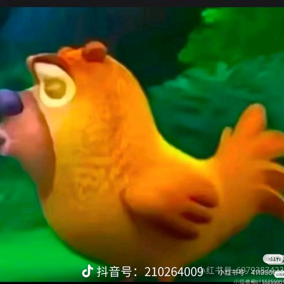 -臭石榴^