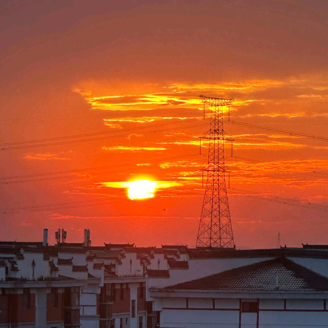 城市孤狼