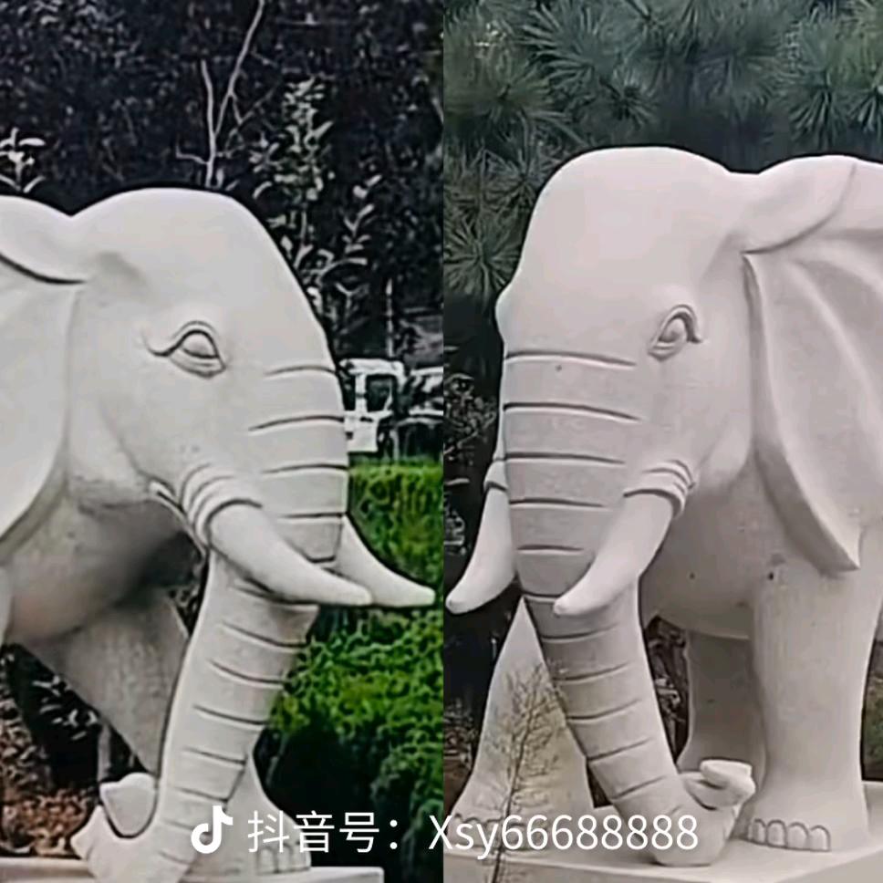 一生随缘