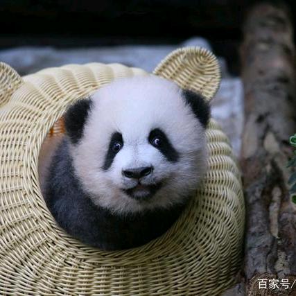 疆遇•新疆长绒棉袜小铺