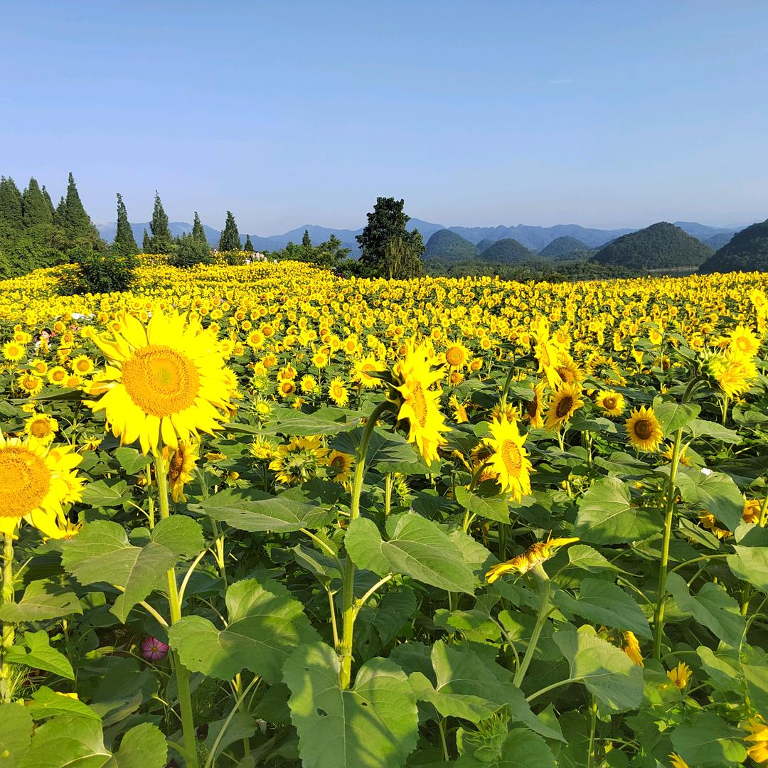 晚霞（生命关怀）