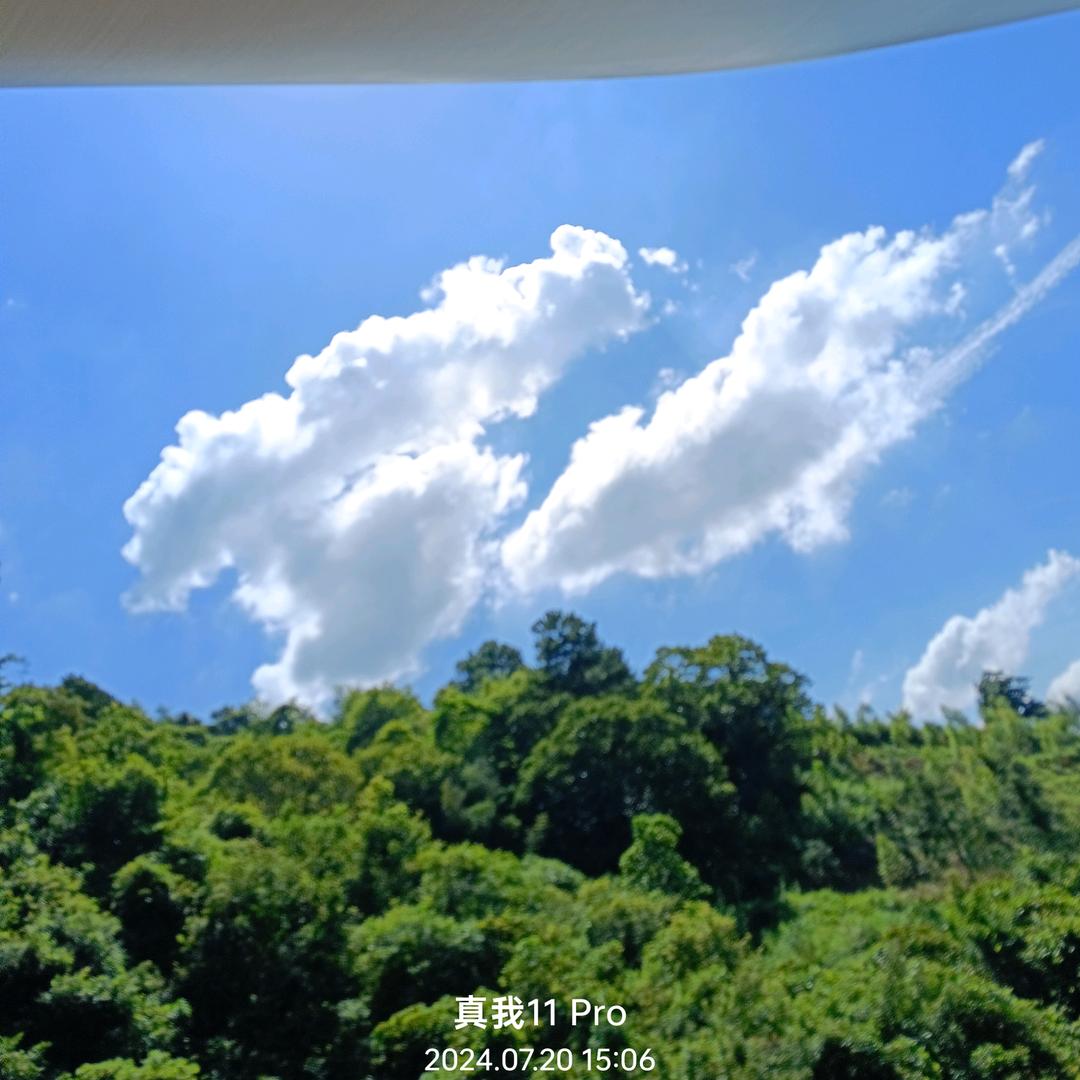 仍然在路上