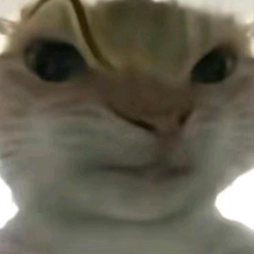 许辞