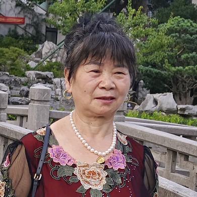 金凤起飞