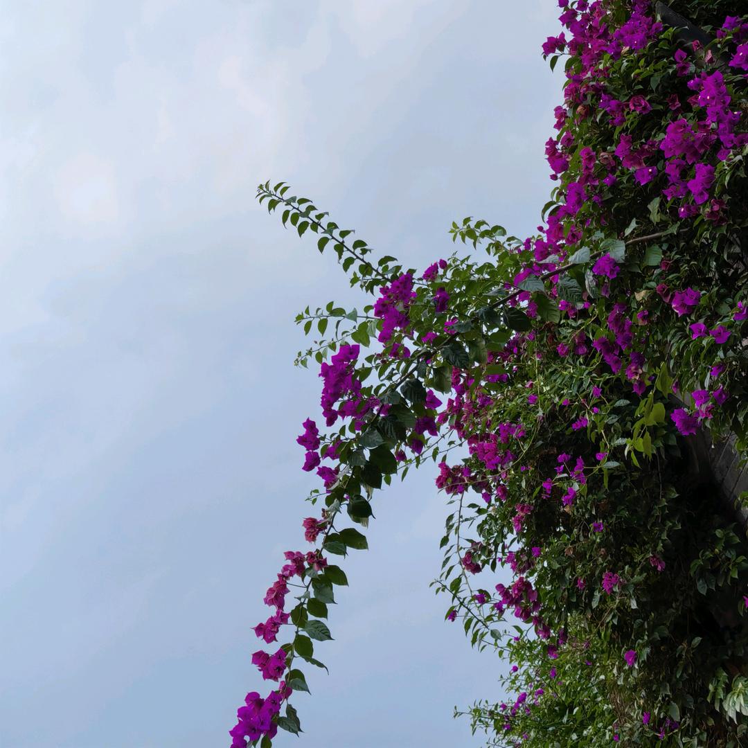 晨曦ঞ💞