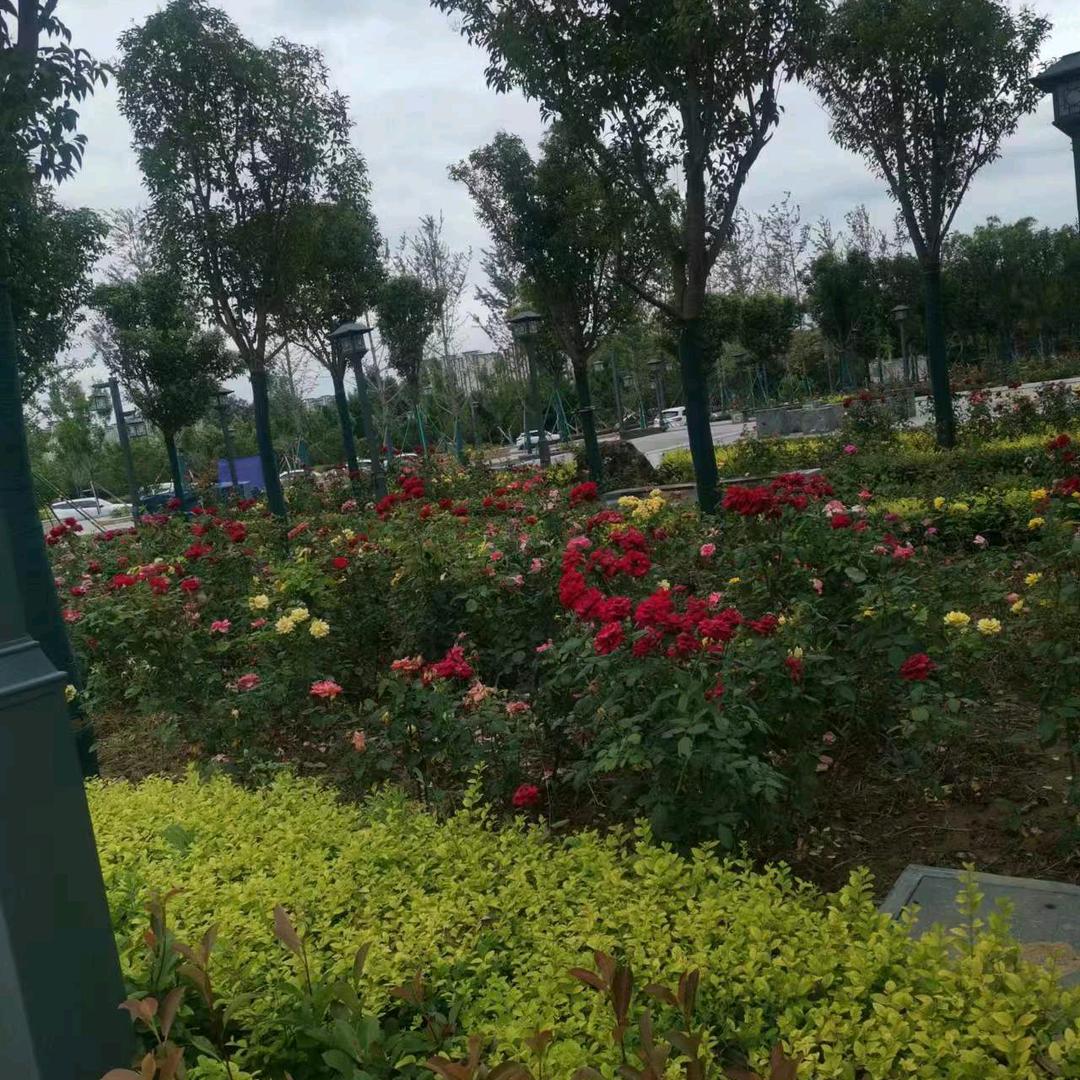 用户1068465001866开心每一天