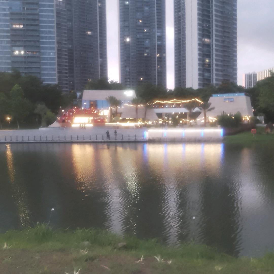 苏夏