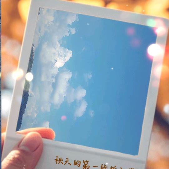 舍得