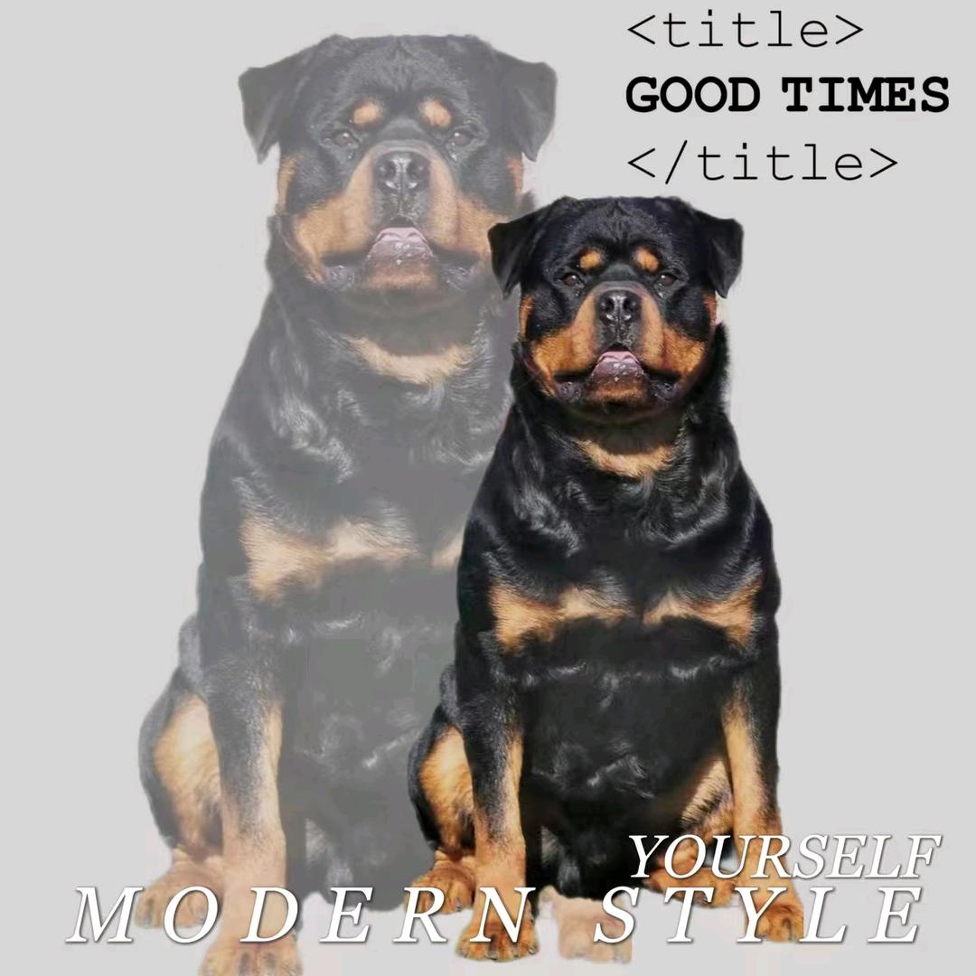 超越罗威纳犬舍