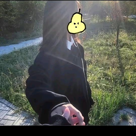 刘哈子