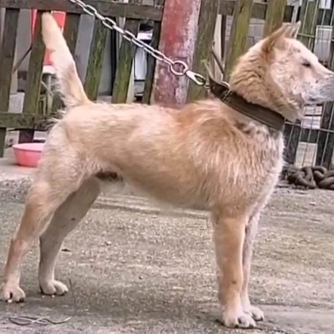 一抹暖色