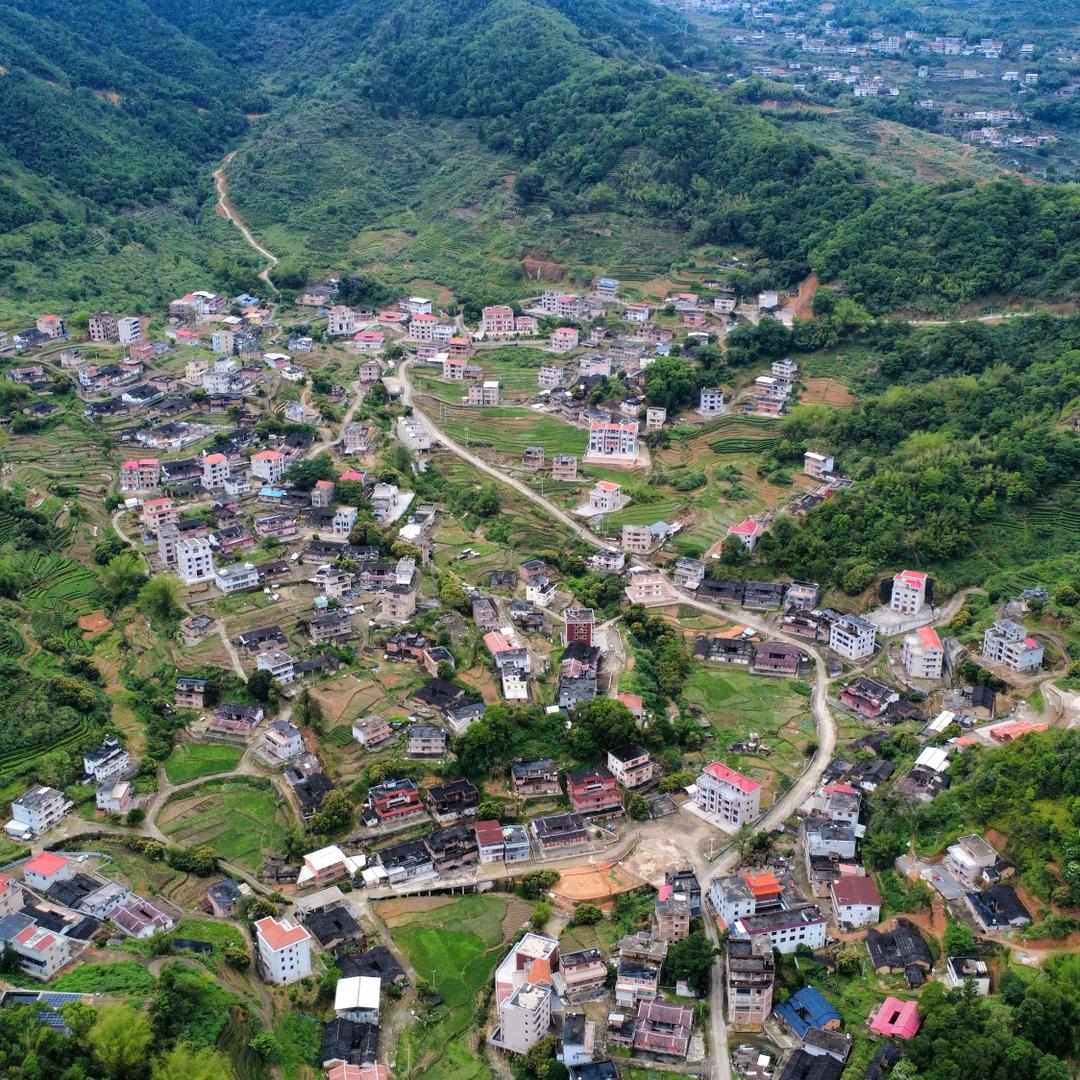 锋鹏展翅