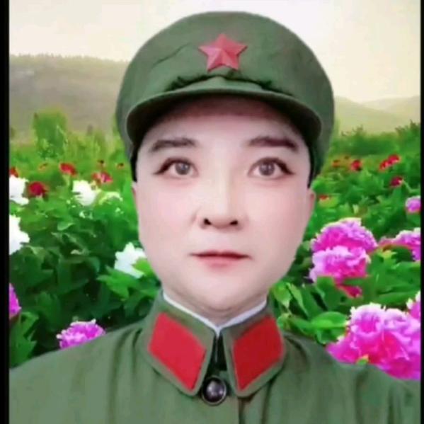 五泉梦