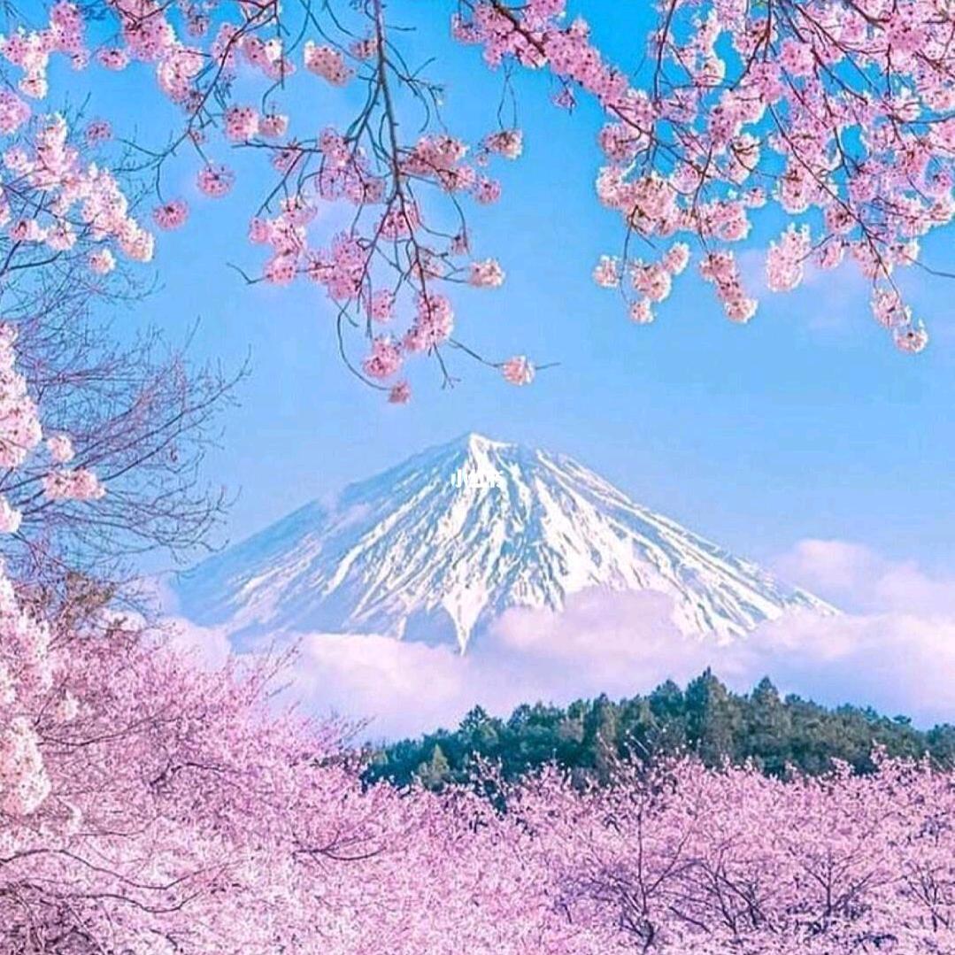 80后的快乐与成长