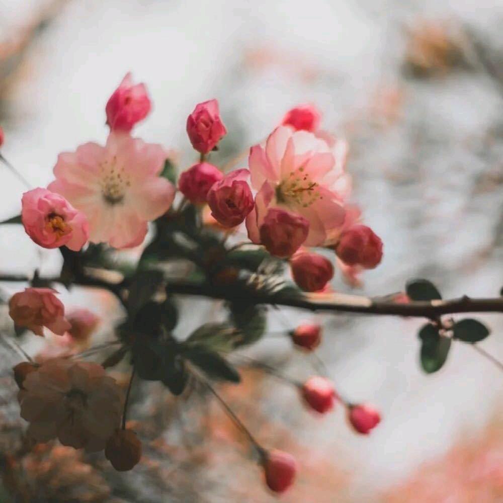 幸福