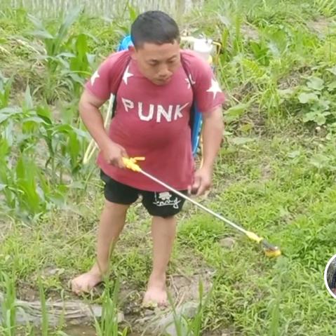 一个袖珍人的农村生活