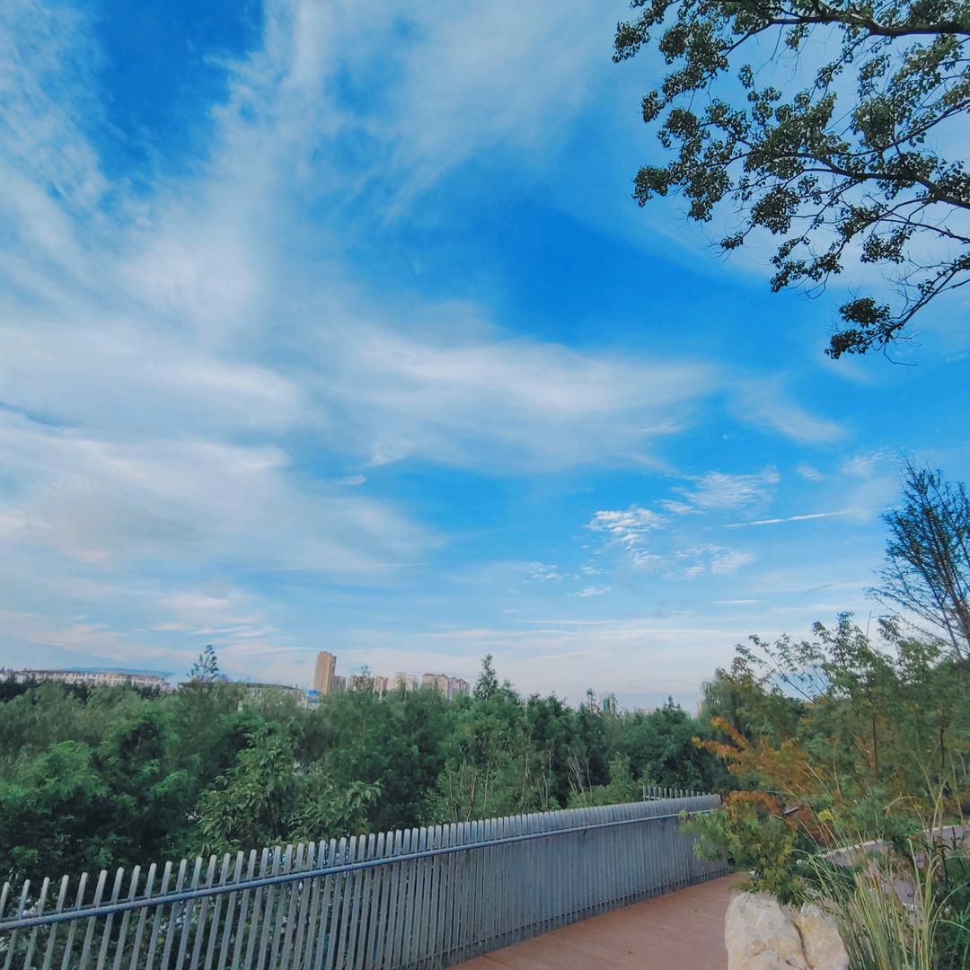 烟雨星辰终是一场梦